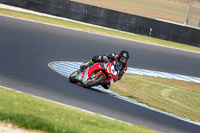 07th-to-9th-January-2019;Phillip-Island;event-digital-images;motorbikes;no-limits;peter-wileman-photography;trackday;trackday-digital-images