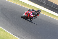 07th-to-9th-January-2019;Phillip-Island;event-digital-images;motorbikes;no-limits;peter-wileman-photography;trackday;trackday-digital-images