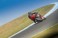 07th-to-9th-January-2019;Phillip-Island;event-digital-images;motorbikes;no-limits;peter-wileman-photography;trackday;trackday-digital-images