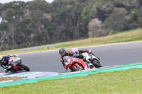 07th-to-9th-January-2019;Phillip-Island;event-digital-images;motorbikes;no-limits;peter-wileman-photography;trackday;trackday-digital-images