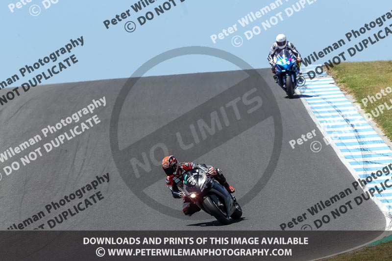 07th to 9th January 2019;Phillip Island;event digital images;motorbikes;no limits;peter wileman photography;trackday;trackday digital images