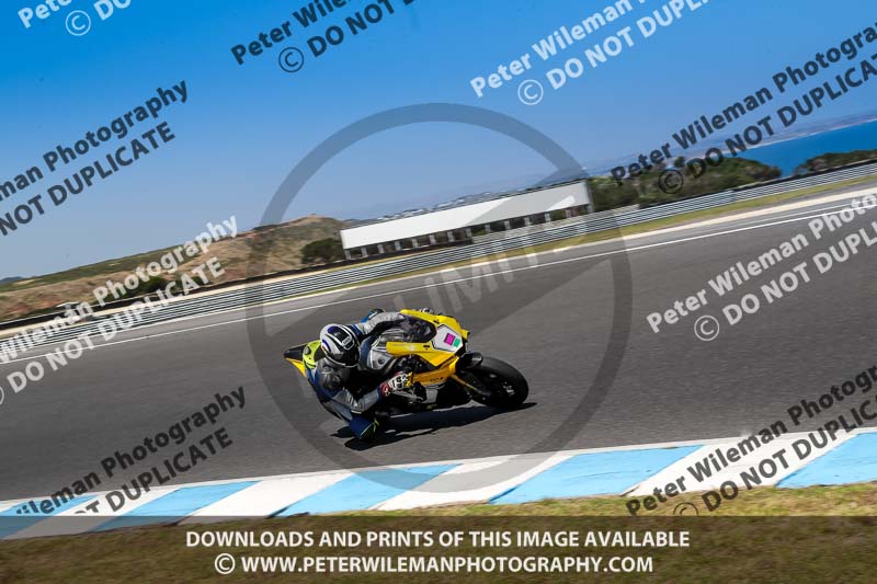 07th to 9th January 2019;Phillip Island;event digital images;motorbikes;no limits;peter wileman photography;trackday;trackday digital images