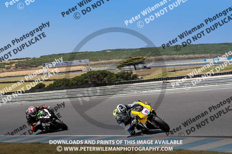 07th to 9th January 2019;Phillip Island;event digital images;motorbikes;no limits;peter wileman photography;trackday;trackday digital images