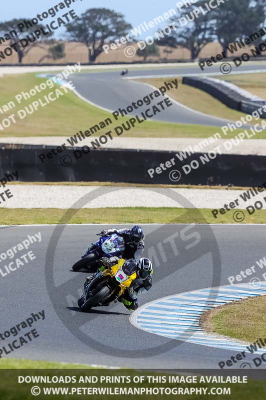 07th to 9th January 2019;Phillip Island;event digital images;motorbikes;no limits;peter wileman photography;trackday;trackday digital images