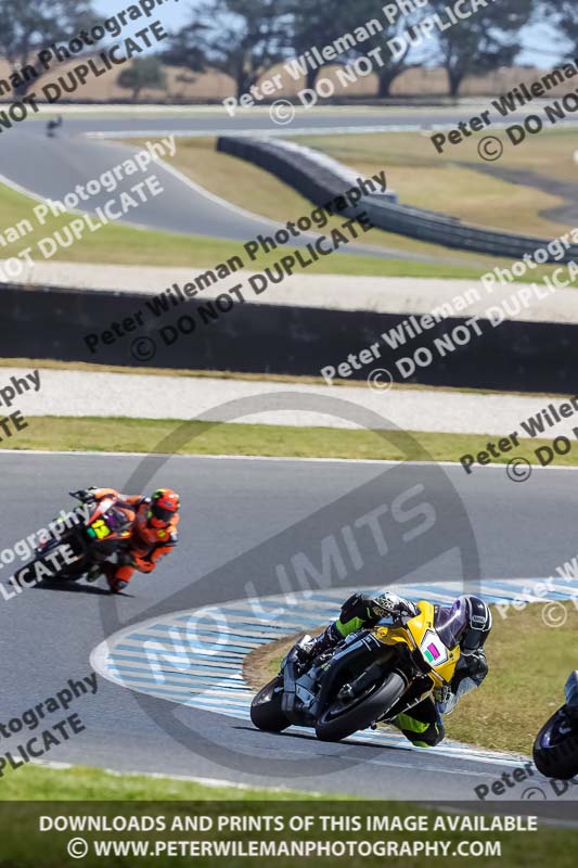 07th to 9th January 2019;Phillip Island;event digital images;motorbikes;no limits;peter wileman photography;trackday;trackday digital images