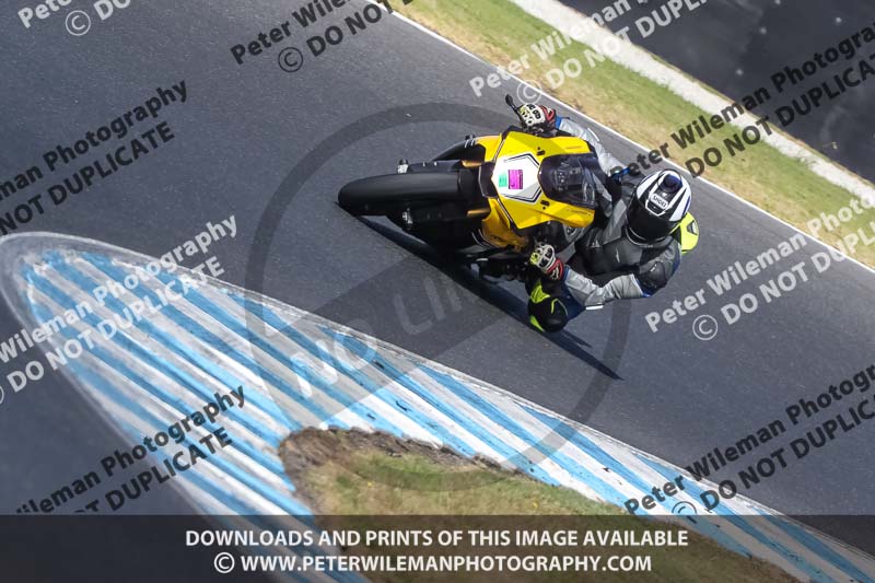 07th to 9th January 2019;Phillip Island;event digital images;motorbikes;no limits;peter wileman photography;trackday;trackday digital images