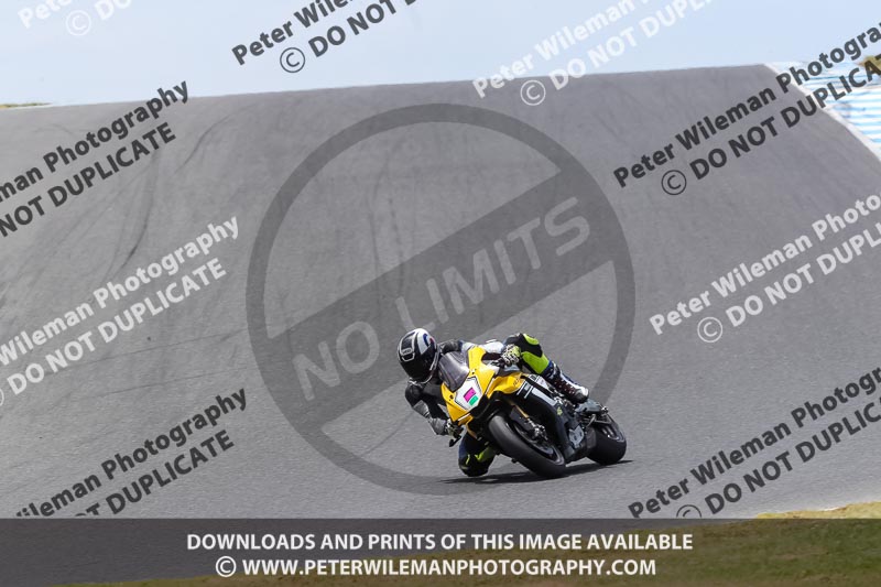 07th to 9th January 2019;Phillip Island;event digital images;motorbikes;no limits;peter wileman photography;trackday;trackday digital images