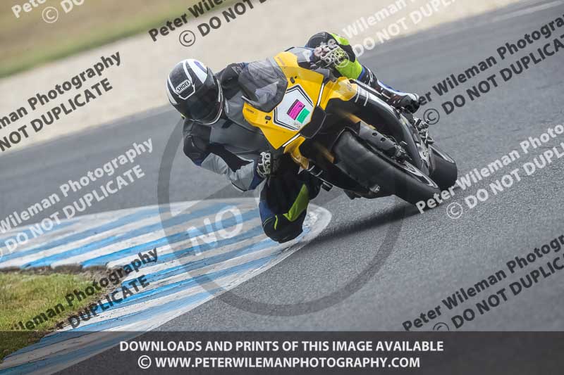 07th to 9th January 2019;Phillip Island;event digital images;motorbikes;no limits;peter wileman photography;trackday;trackday digital images