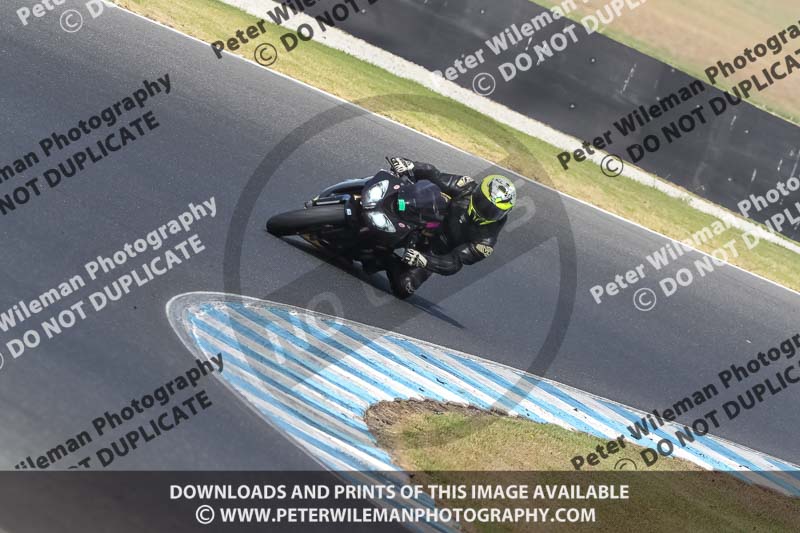 07th to 9th January 2019;Phillip Island;event digital images;motorbikes;no limits;peter wileman photography;trackday;trackday digital images