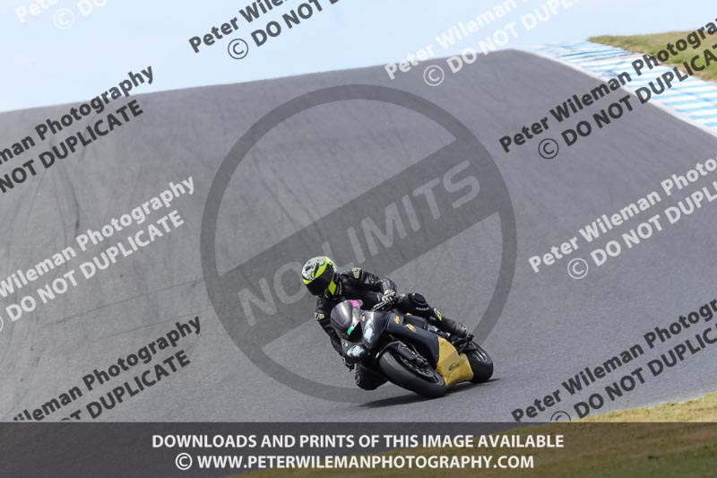 07th to 9th January 2019;Phillip Island;event digital images;motorbikes;no limits;peter wileman photography;trackday;trackday digital images