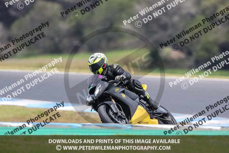 07th to 9th January 2019;Phillip Island;event digital images;motorbikes;no limits;peter wileman photography;trackday;trackday digital images