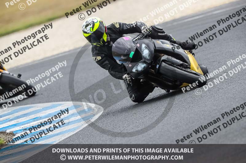 07th to 9th January 2019;Phillip Island;event digital images;motorbikes;no limits;peter wileman photography;trackday;trackday digital images