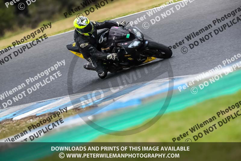 07th to 9th January 2019;Phillip Island;event digital images;motorbikes;no limits;peter wileman photography;trackday;trackday digital images