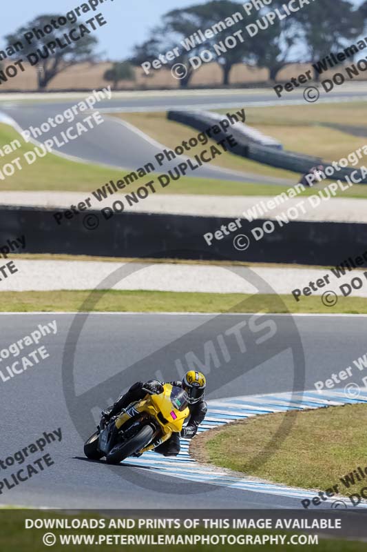 07th to 9th January 2019;Phillip Island;event digital images;motorbikes;no limits;peter wileman photography;trackday;trackday digital images