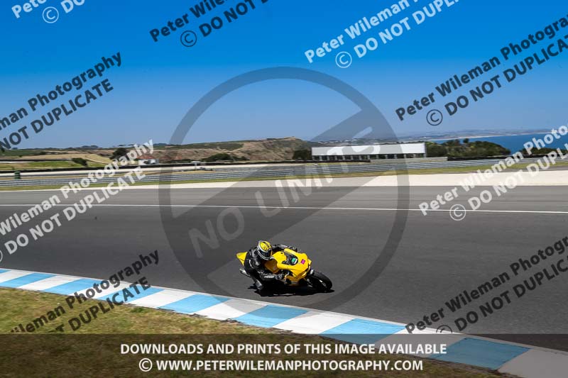 07th to 9th January 2019;Phillip Island;event digital images;motorbikes;no limits;peter wileman photography;trackday;trackday digital images