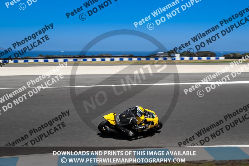 07th to 9th January 2019;Phillip Island;event digital images;motorbikes;no limits;peter wileman photography;trackday;trackday digital images