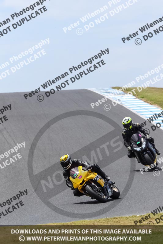 07th to 9th January 2019;Phillip Island;event digital images;motorbikes;no limits;peter wileman photography;trackday;trackday digital images