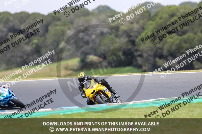 07th to 9th January 2019;Phillip Island;event digital images;motorbikes;no limits;peter wileman photography;trackday;trackday digital images