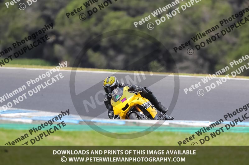 07th to 9th January 2019;Phillip Island;event digital images;motorbikes;no limits;peter wileman photography;trackday;trackday digital images