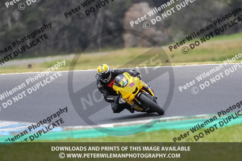 07th to 9th January 2019;Phillip Island;event digital images;motorbikes;no limits;peter wileman photography;trackday;trackday digital images