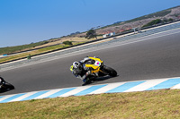 07th-to-9th-January-2019;Phillip-Island;event-digital-images;motorbikes;no-limits;peter-wileman-photography;trackday;trackday-digital-images