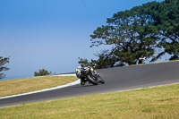 07th-to-9th-January-2019;Phillip-Island;event-digital-images;motorbikes;no-limits;peter-wileman-photography;trackday;trackday-digital-images