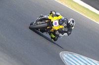 07th-to-9th-January-2019;Phillip-Island;event-digital-images;motorbikes;no-limits;peter-wileman-photography;trackday;trackday-digital-images