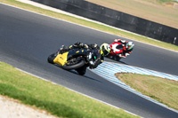 07th-to-9th-January-2019;Phillip-Island;event-digital-images;motorbikes;no-limits;peter-wileman-photography;trackday;trackday-digital-images