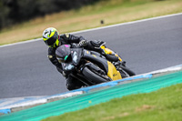 07th-to-9th-January-2019;Phillip-Island;event-digital-images;motorbikes;no-limits;peter-wileman-photography;trackday;trackday-digital-images