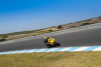 07th-to-9th-January-2019;Phillip-Island;event-digital-images;motorbikes;no-limits;peter-wileman-photography;trackday;trackday-digital-images