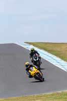 07th-to-9th-January-2019;Phillip-Island;event-digital-images;motorbikes;no-limits;peter-wileman-photography;trackday;trackday-digital-images