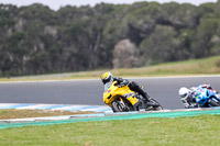 07th-to-9th-January-2019;Phillip-Island;event-digital-images;motorbikes;no-limits;peter-wileman-photography;trackday;trackday-digital-images