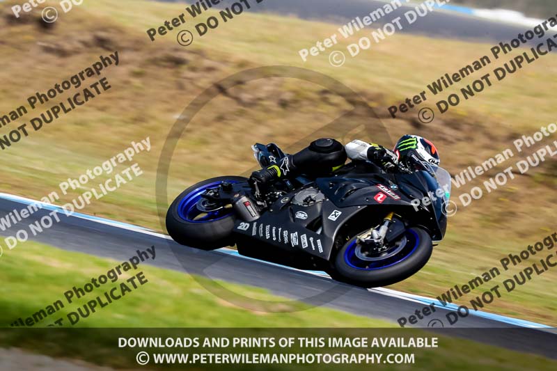 07th to 9th January 2019;Phillip Island;event digital images;motorbikes;no limits;peter wileman photography;trackday;trackday digital images