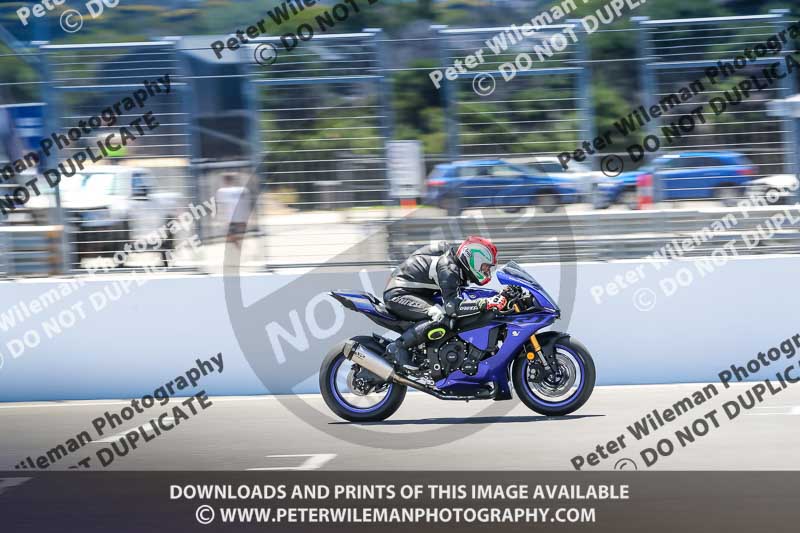 07th to 9th January 2019;Phillip Island;event digital images;motorbikes;no limits;peter wileman photography;trackday;trackday digital images