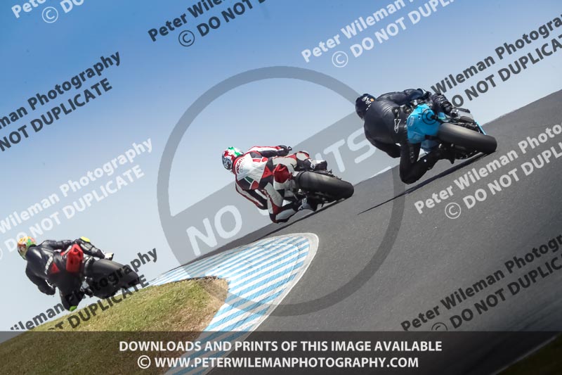 07th to 9th January 2019;Phillip Island;event digital images;motorbikes;no limits;peter wileman photography;trackday;trackday digital images