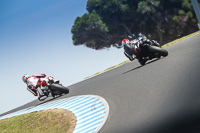 07th-to-9th-January-2019;Phillip-Island;event-digital-images;motorbikes;no-limits;peter-wileman-photography;trackday;trackday-digital-images