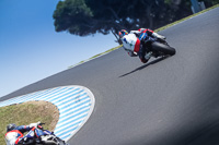 07th-to-9th-January-2019;Phillip-Island;event-digital-images;motorbikes;no-limits;peter-wileman-photography;trackday;trackday-digital-images