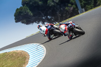 07th-to-9th-January-2019;Phillip-Island;event-digital-images;motorbikes;no-limits;peter-wileman-photography;trackday;trackday-digital-images