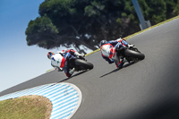 07th-to-9th-January-2019;Phillip-Island;event-digital-images;motorbikes;no-limits;peter-wileman-photography;trackday;trackday-digital-images