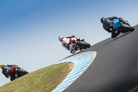 07th-to-9th-January-2019;Phillip-Island;event-digital-images;motorbikes;no-limits;peter-wileman-photography;trackday;trackday-digital-images