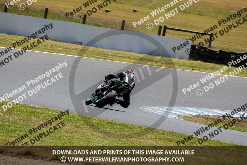 07th to 9th January 2019;Phillip Island;event digital images;motorbikes;no limits;peter wileman photography;trackday;trackday digital images