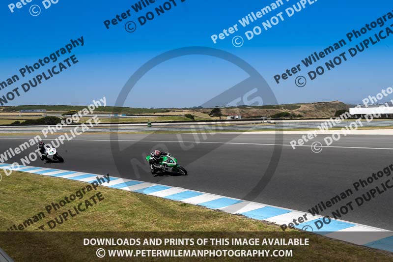 07th to 9th January 2019;Phillip Island;event digital images;motorbikes;no limits;peter wileman photography;trackday;trackday digital images