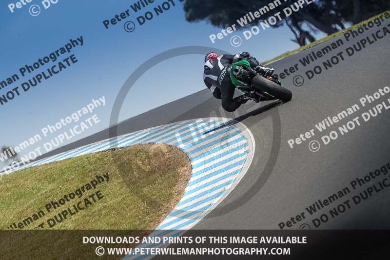 07th to 9th January 2019;Phillip Island;event digital images;motorbikes;no limits;peter wileman photography;trackday;trackday digital images