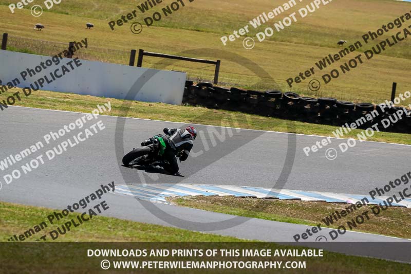 07th to 9th January 2019;Phillip Island;event digital images;motorbikes;no limits;peter wileman photography;trackday;trackday digital images