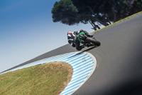 07th-to-9th-January-2019;Phillip-Island;event-digital-images;motorbikes;no-limits;peter-wileman-photography;trackday;trackday-digital-images