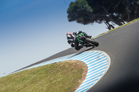 07th-to-9th-January-2019;Phillip-Island;event-digital-images;motorbikes;no-limits;peter-wileman-photography;trackday;trackday-digital-images