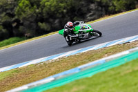 07th-to-9th-January-2019;Phillip-Island;event-digital-images;motorbikes;no-limits;peter-wileman-photography;trackday;trackday-digital-images