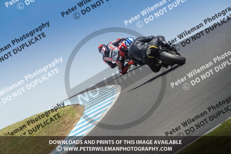 07th to 9th January 2019;Phillip Island;event digital images;motorbikes;no limits;peter wileman photography;trackday;trackday digital images