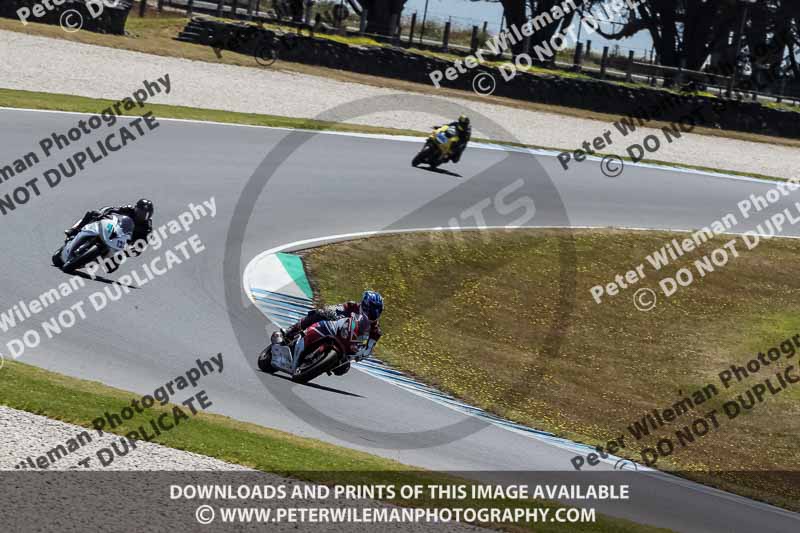 07th to 9th January 2019;Phillip Island;event digital images;motorbikes;no limits;peter wileman photography;trackday;trackday digital images