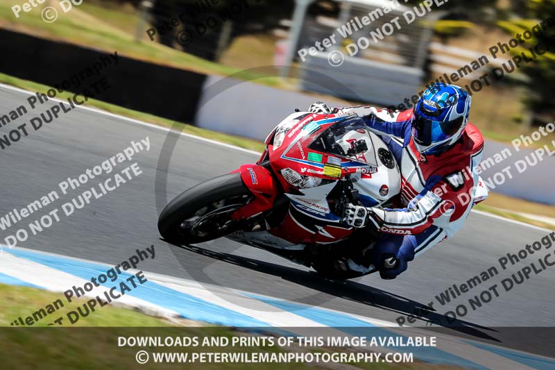 07th to 9th January 2019;Phillip Island;event digital images;motorbikes;no limits;peter wileman photography;trackday;trackday digital images